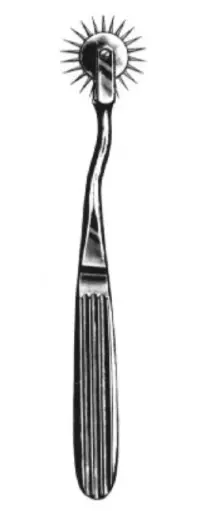 [03320-19] Pin-wheel, Wartenberg 19 cm