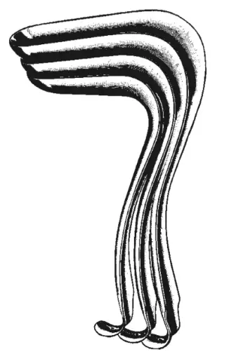 Speculum, Kristeller
